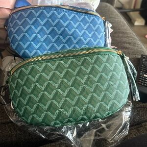 Stylish Blue and Green Women's Bum Bag
